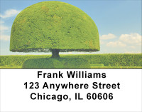 Dreamy Topiary Gardens Address Labels | LBSCE-12
