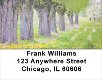 Trees In Springtime Address Labels | LBSCE-14