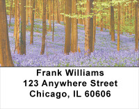 Trees In Springtime Address Labels | LBSCE-14