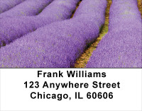 Fields Of Lavender Address Labels | LBSCE-16