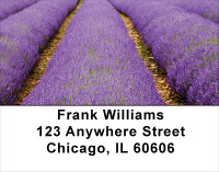 Fields Of Lavender Address Labels | LBSCE-16