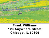 Foothills In Bloom Address Labels | LBSCE-17