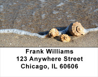 Sand and Shells Address Labels | LBSCE-24