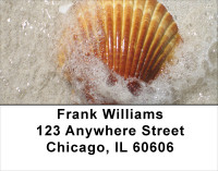 Sand and Shells Address Labels | LBSCE-24