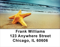 Beachy Blue Address Labels | LBSCE-27