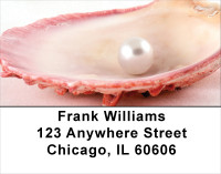 Pearly Shells Address Labels | LBSCE-28