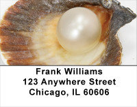 Pearly Shells Address Labels | LBSCE-28