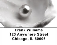 Pearly Shells Address Labels | LBSCE-28