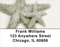 Shells In Taupes and Sage Address Labels | LBSCE-30
