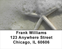 Shells In Taupes and Sage Address Labels | LBSCE-30