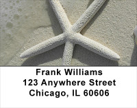 Shells In Taupes and Sage Address Labels | LBSCE-30