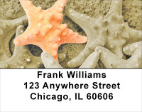 Starfish On Parade Address Labels | LBSCE-31