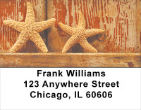 Starfish On Parade Address Labels | LBSCE-31