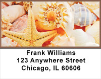 Seashells By The Seashore Address Labels | LBSCE-63