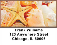 Seashells By The Seashore Address Labels | LBSCE-63