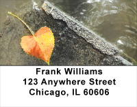 Falling Leaves On Water Address Labels | LBSCE-64