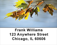 Falling Leaves On Water Address Labels | LBSCE-64