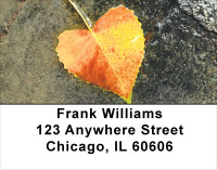 Falling Leaves On Water Address Labels | LBSCE-64