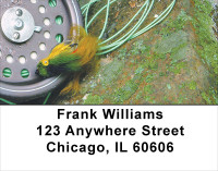 A Perfect Day Address Labels | LBSPO-35