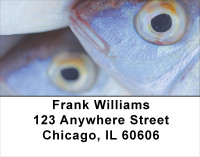 Trout On Ice Address Labels | LBSPO-38