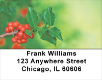 Holly On Pastels Address Labels | LBXMS-02