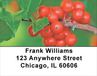 Holly On Pastels Address Labels | LBXMS-02