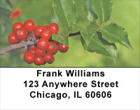 Holly With Greenery Address Labels