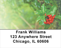 Holly With Greenery Address Labels | LBXMS-03