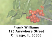Holly With Greenery Address Labels | LBXMS-03