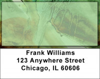 Green Acrylics Address Labels | LBZABS-50