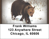 Bears in the Wild Address Labels | LBZANI-10