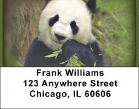Panda Bears Address Labels | LBZANI-11