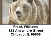 Grizzly Bears Address Labels | LBZANI-12