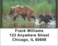 Grizzly Bears Address Labels | LBZANI-12