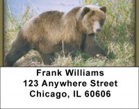 Grizzly Bears Address Labels | LBZANI-12