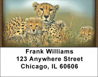 Big Cat Babies Address Labels | LBZANI-15