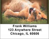 Big Cat Babies Address Labels | LBZANI-15