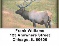 Elk Address Labels