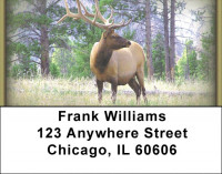 Elk Address Labels | LBZANI-23