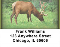 Elk Address Labels | LBZANI-23