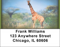 Giraffes Address Labels | LBZANI-27