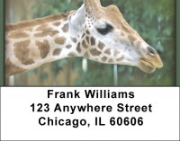 Giraffes Address Labels | LBZANI-27