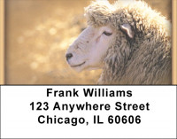 Goats Address Labels | LBZANI-28