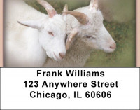 Goats Address Labels | LBZANI-28