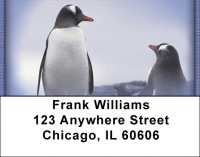 Penguins Address Labels | LBZANI-33