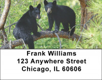 Black Bear Cubs Address Labels | LBZANI-44