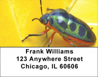 Beetles Address Labels