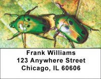 Beetles Address Labels | LBZANI-45