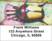 Beetles Address Labels | LBZANI-45