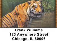Bengal Tigers Address Labels | LBZANI-46